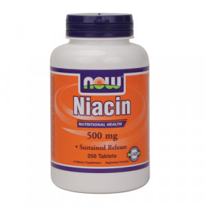 Now Niacin (500mg) - Sustained Release 250 tabs