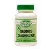 Organika Chlorophyll Tablets