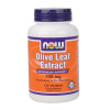 Now Olive Leaf Extract (500mg) 120 vcaps