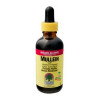 Nature’s Answer Mullein 60 mL.