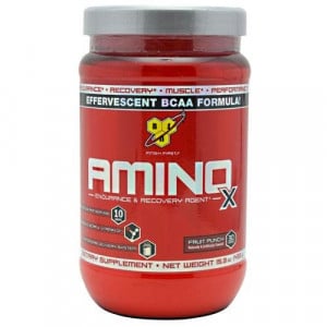 BSN Amino X - Endurance & Recovery Agent Fruit Punch 435 grams