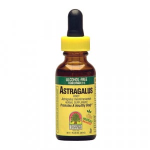 Nature’s Answer Astragalus Root (Alcohol Free) 1 fl.oz
