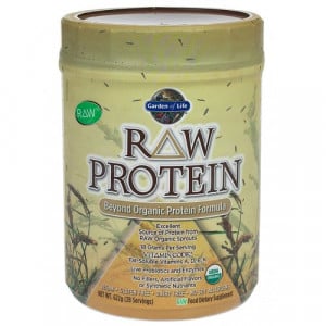 GARDEN OF LIFE Raw Protein 622 gr