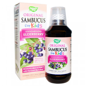 Health Care Brands Sambucus For Kids Berry - 8 fl.oz - astronutrition.com