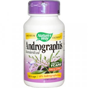 Nature’s Way Andrographis - Standardized Extract 60 vcaps - astronutrition.com