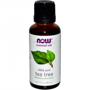 Now Tea Tree Oil (Liquid) 16 fl.oz